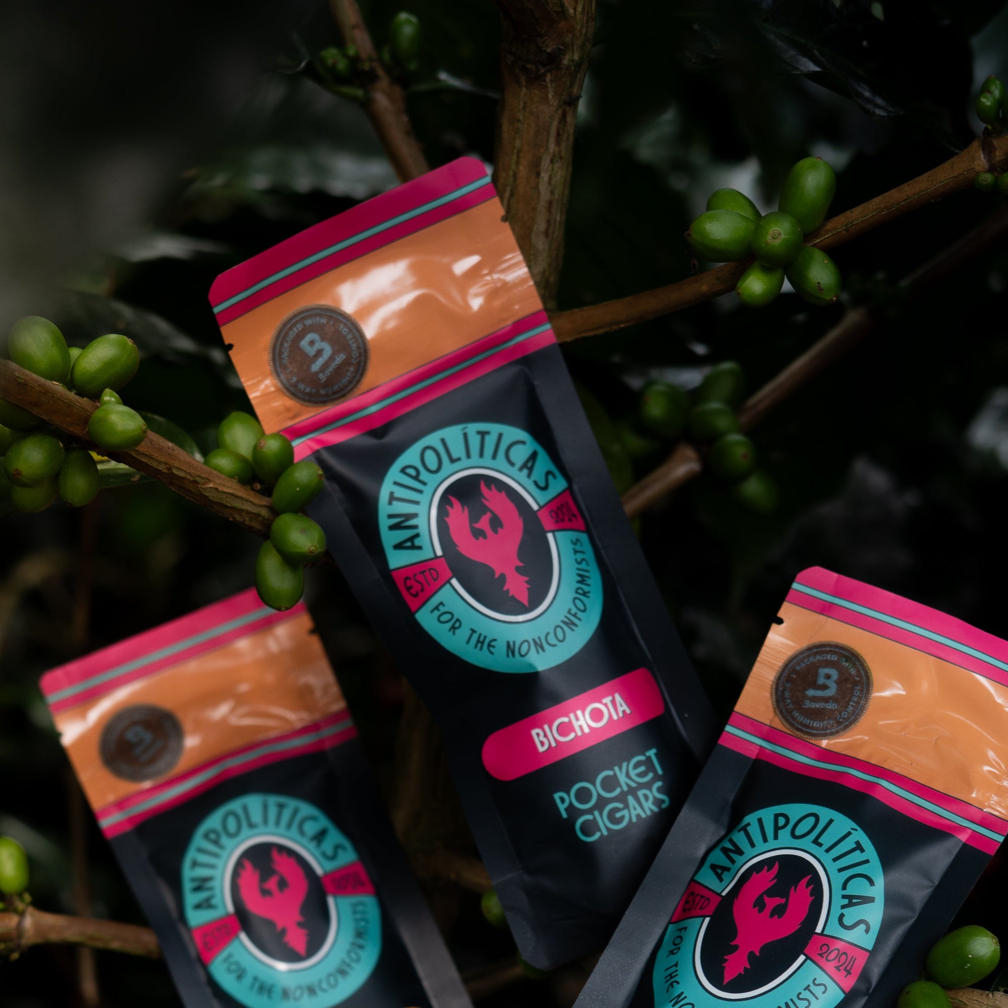 QUIMBARA (Whole Bean - 12 oz.)